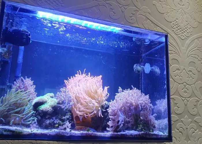 Sleep&coffee&go Accommodatie bij particulieren