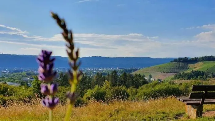 Sleep&coffee&go Accommodatie bij particulieren *